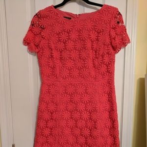 Talbots Lace Pink Sheath Dress
